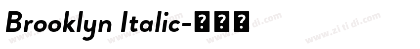 Brooklyn Italic字体转换